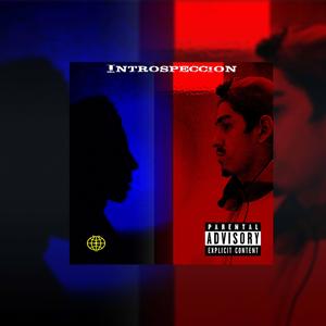 Introspección
