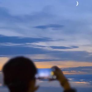 sunflower feeling（翻自 Kuzu Mellow）