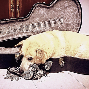 I've Always Dreamed (Living in a Trailerhouse) (Radio Edit)