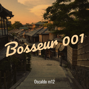 Bosseur 001