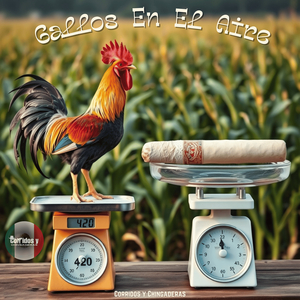 Gallos En El Aire