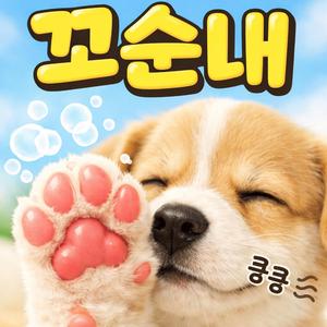 꼬순내 (puppy foot smell)