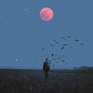 幻听