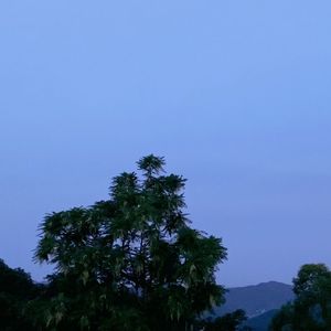 罗生门