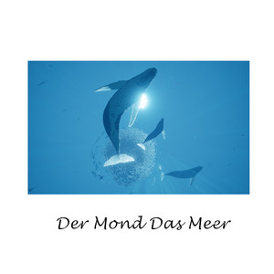 Der Mond Das Meer