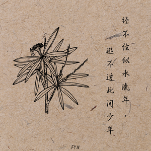 经不住似水流年，逃不过此间少年
