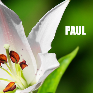 Paul