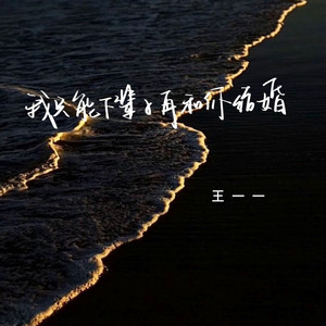 我只能下辈子再和你结婚