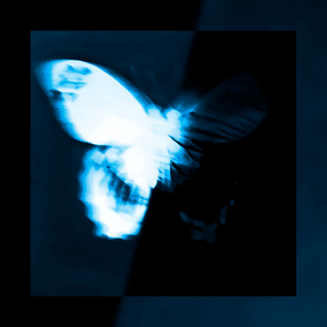 I Hope This Never Ends