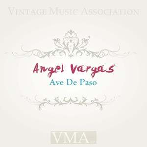 Ave De Paso (Original Mix)