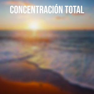 Concentración Total