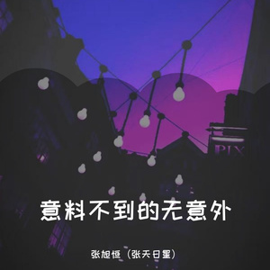 意料不到的无意外