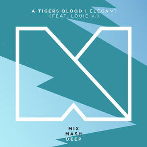 Elegant (Extended Mix)