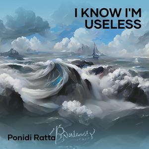 I Know I'm Useless