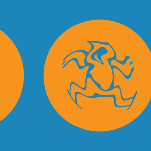 I Can See The Lights