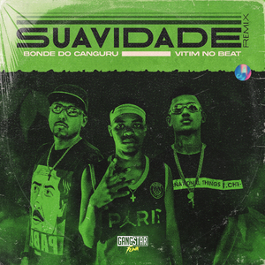 Suavidade (Remix)