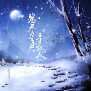 踏尽星月寻故人