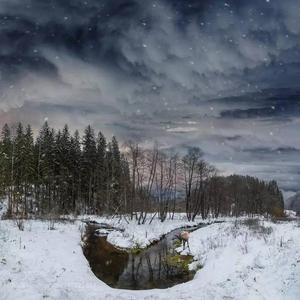 动物世界 （Cover 薛之谦）