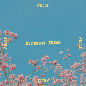 Blossom Trees