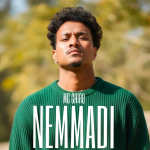 Nemmadi
