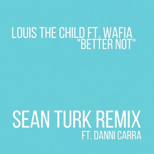 Better Not (Sean Turk Remix)