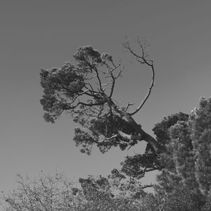 诗意的矿物浴节奏