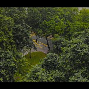 一个雷雨天上午（呼尼拉-鼓点消失术！）