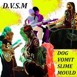 Dog Vomit Slime Mould