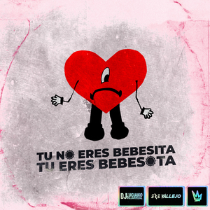 Tu No Eres Bebesita Tu Eres Bebesota (Remix)