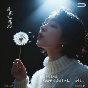 月光下的回音谷