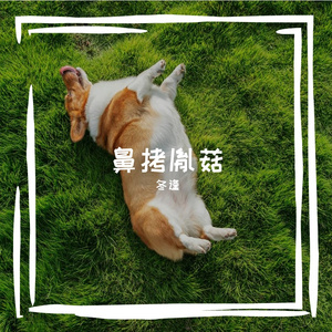倮磷拱毯岳汗痘门时