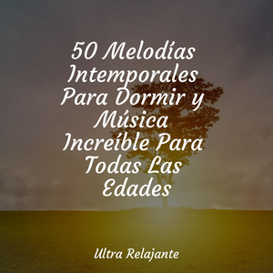 Encontrar la Calma