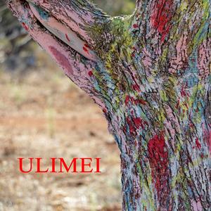Ulimei (feat. Nathalie Corapi, Savino Nuccio Conte, Margherita Pirrazzo, Gabriele Dell'Anna, Rita Piccinni & Matteo Gerardi)