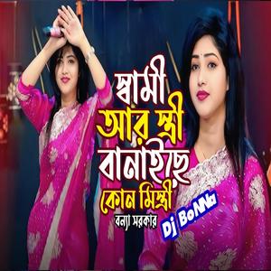 স্বামী আর স্ত্রী বানাইছে কোন মিস্ত্রি