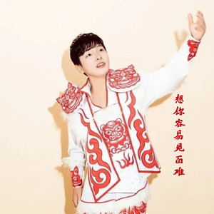 想你容易见面难 (DJ版)