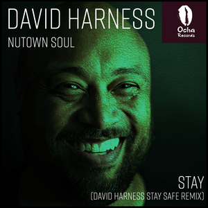 Stay (David Harness Stay Safe Remix)