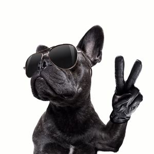 好女人志在四方