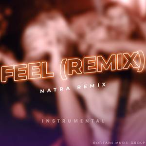 Feel (Remix)