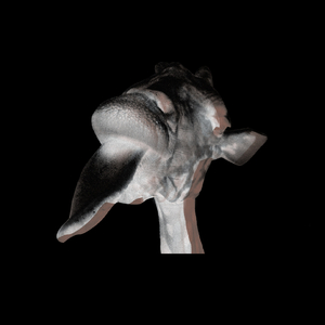 Güsto (The Dirty Playerz Remix)