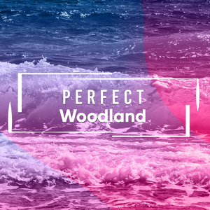 Wandering Through Nature