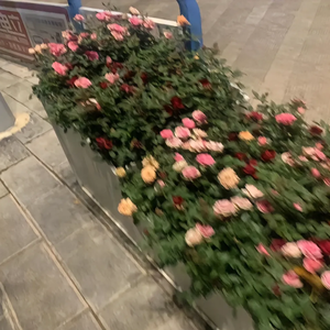 周一早晨