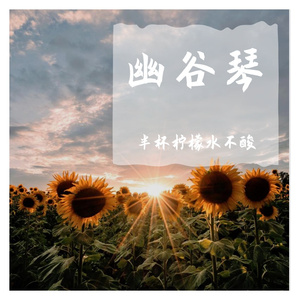 陈致逸-陈致逸-皎洁的笑颜（半杯柠檬水不酸 remix）（半杯柠檬水不酸 remix）