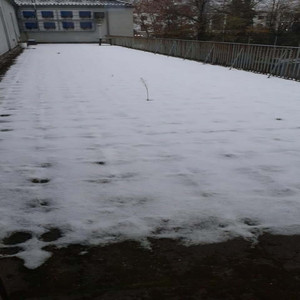 Jörg dir wird niemals verziehen