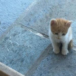 FREE Rod Wave Type Beat | 2025 | " Can't Ignore