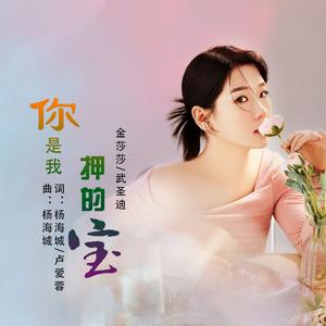 你是我押的宝（Dj翊轩版）