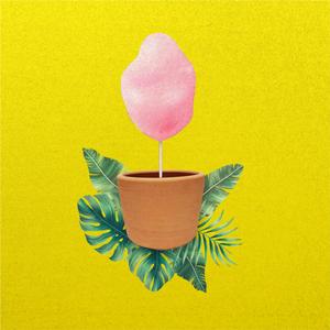 You're Always On My Mind