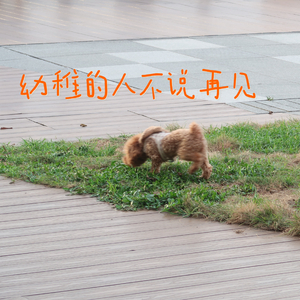 幼稚的人不说再见