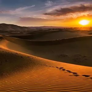 乖乖的回家乖乖一个人过