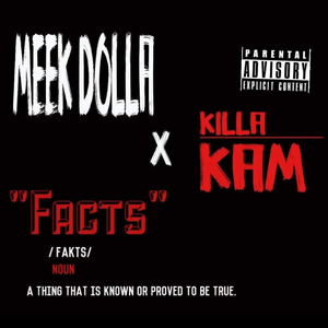Facts (feat. Killa Kam)
