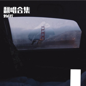 崇拜 （翻自 林忆莲）（翻自 歌手）